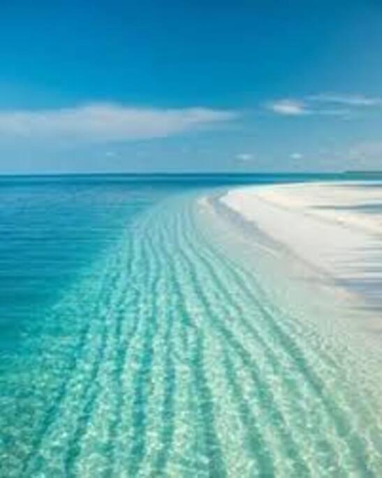 فيلا Rowena House 2Bd Den 2Bth Heated Pool Near Siesta Key ساراسوتا المظهر الخارجي الصورة