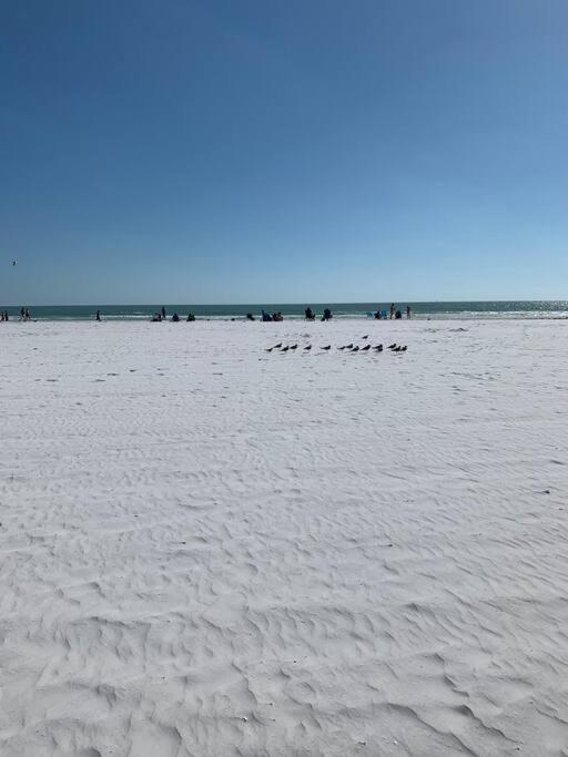 فيلا Rowena House 2Bd Den 2Bth Heated Pool Near Siesta Key ساراسوتا المظهر الخارجي الصورة